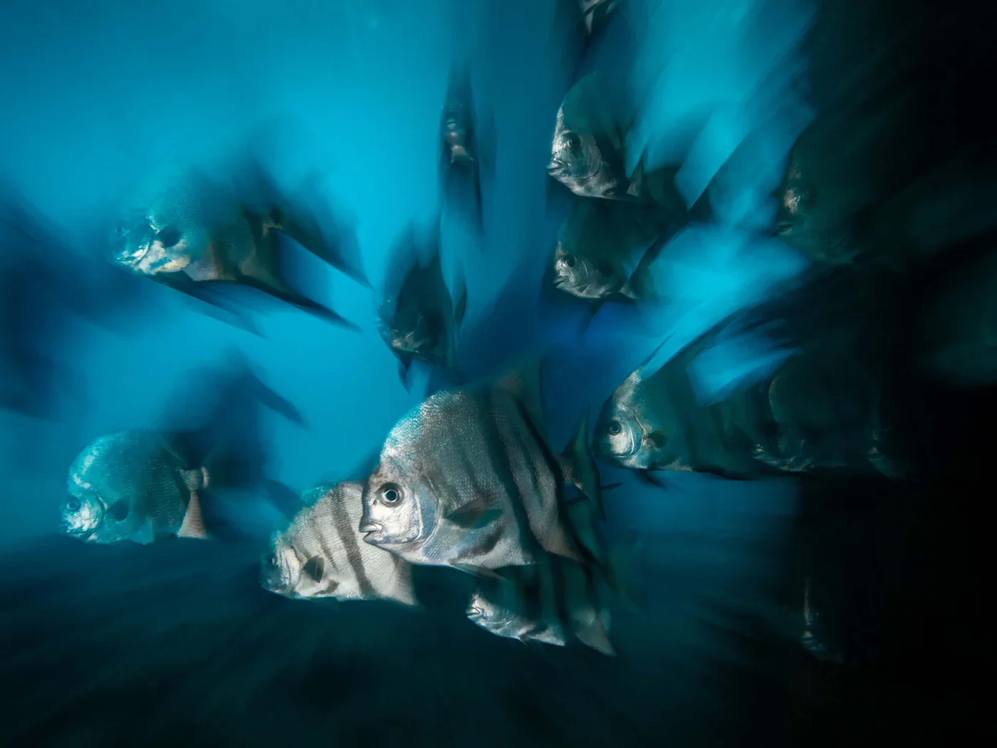 Desenfoque de movimiento: creatividad y experimentación